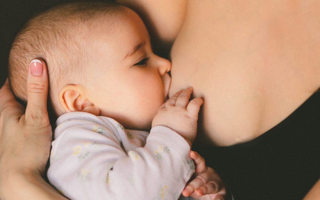 Alimentación del Bebé: Lactancia Materna y Fórmula en los Primeros 12 Meses. Mi experiencia como nutricionista