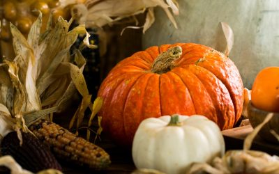 Saboreando los Frutos de Octubre: Beneficios de las Frutas y Verduras de Temporada