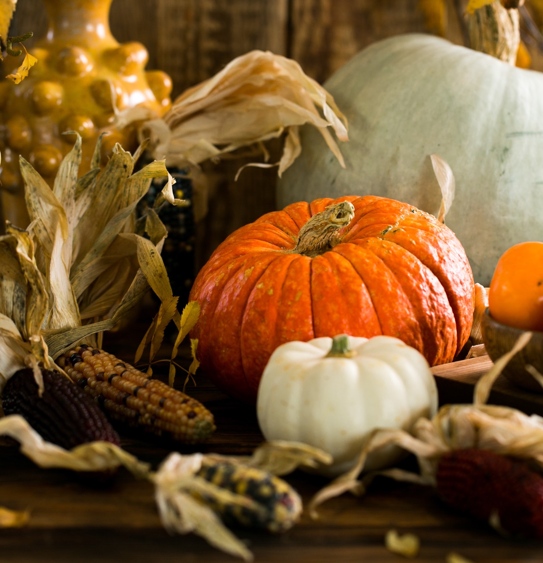 Calabazas en otoño 2023