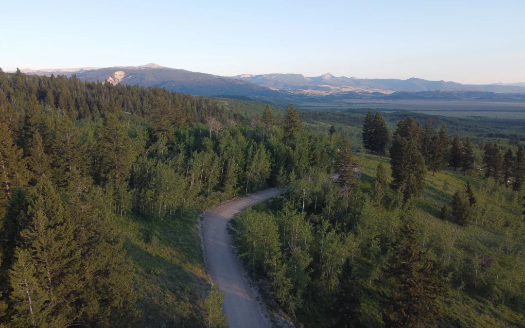 Un Año Nuevo, Un Enfoque Renovado: Nuestro Camino hacia el Bienestar con Irene