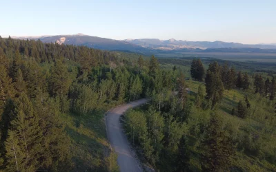 Un Año Nuevo, Un Enfoque Renovado: Nuestro Camino hacia el Bienestar con Irene